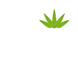 彩志園