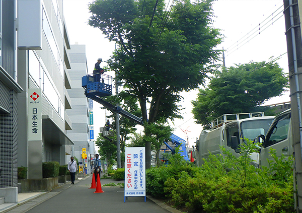 山林のメンテナンス