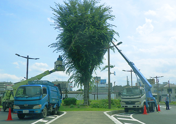 山林のメンテナンス