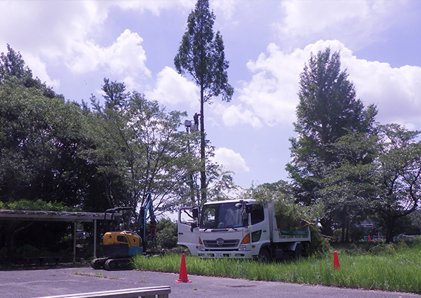 春日部市 薬師沼親水公園 高木伐採